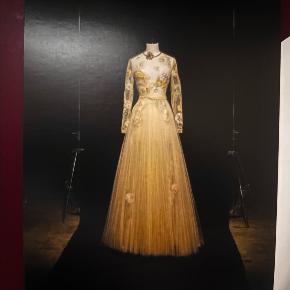 Dior Haute Couture Dress Photos byMaria Grazia Chiuri. SET of 3!
